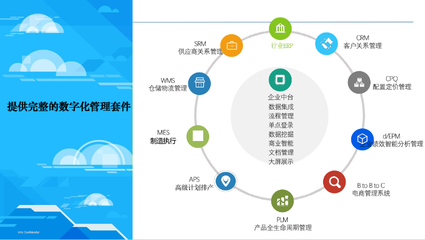 江蘇工廠(chǎng)管理軟件價(jià)格解析與企業(yè)定制開(kāi)發(fā)策略